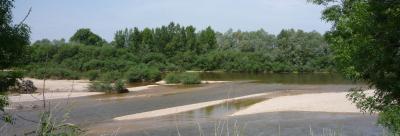 Le Doubs à Choisey - SH