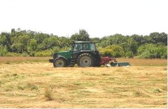 Prairie fauchée après le 15 juillet (71)